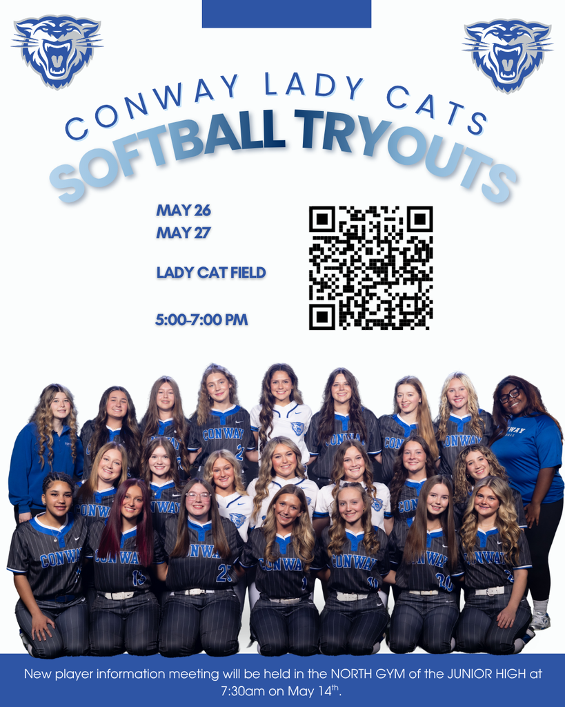 softball tryout flyers
