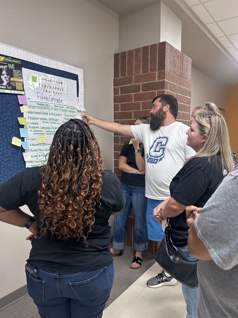 Teachers are Professional Development