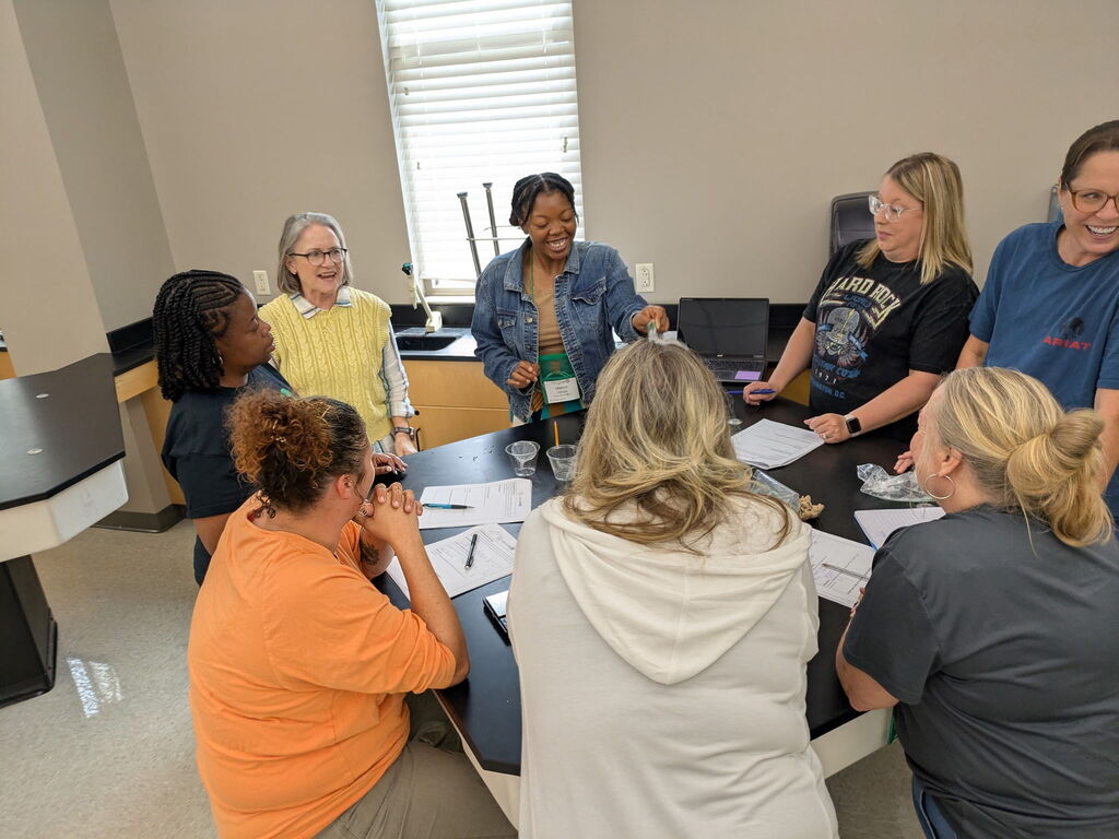 Picture of teachers are professional development 