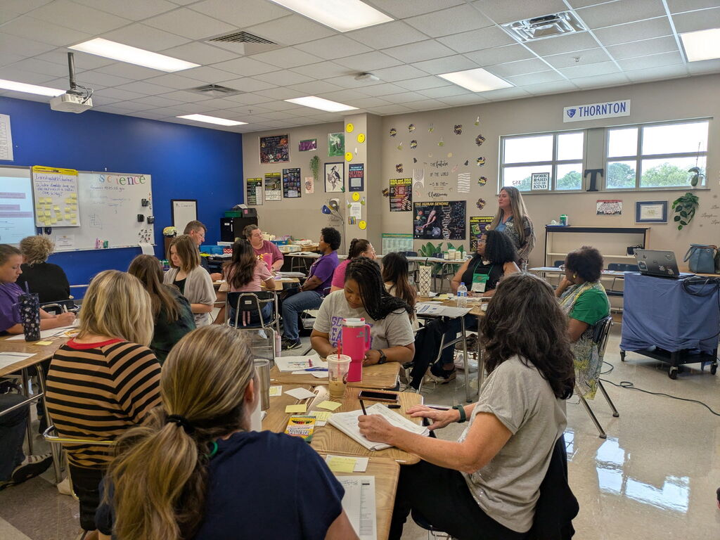 Picture of teachers are professional development 
