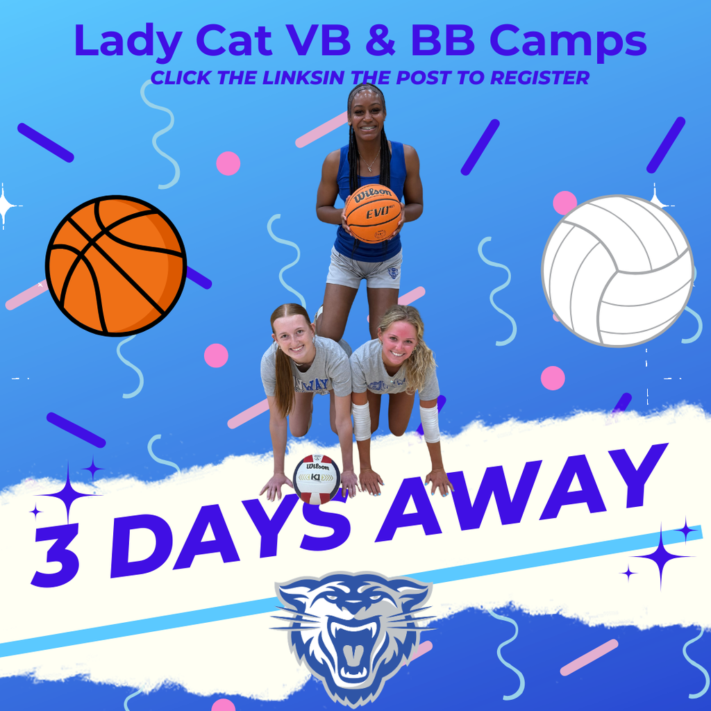 3 Days BB & VB Camp
