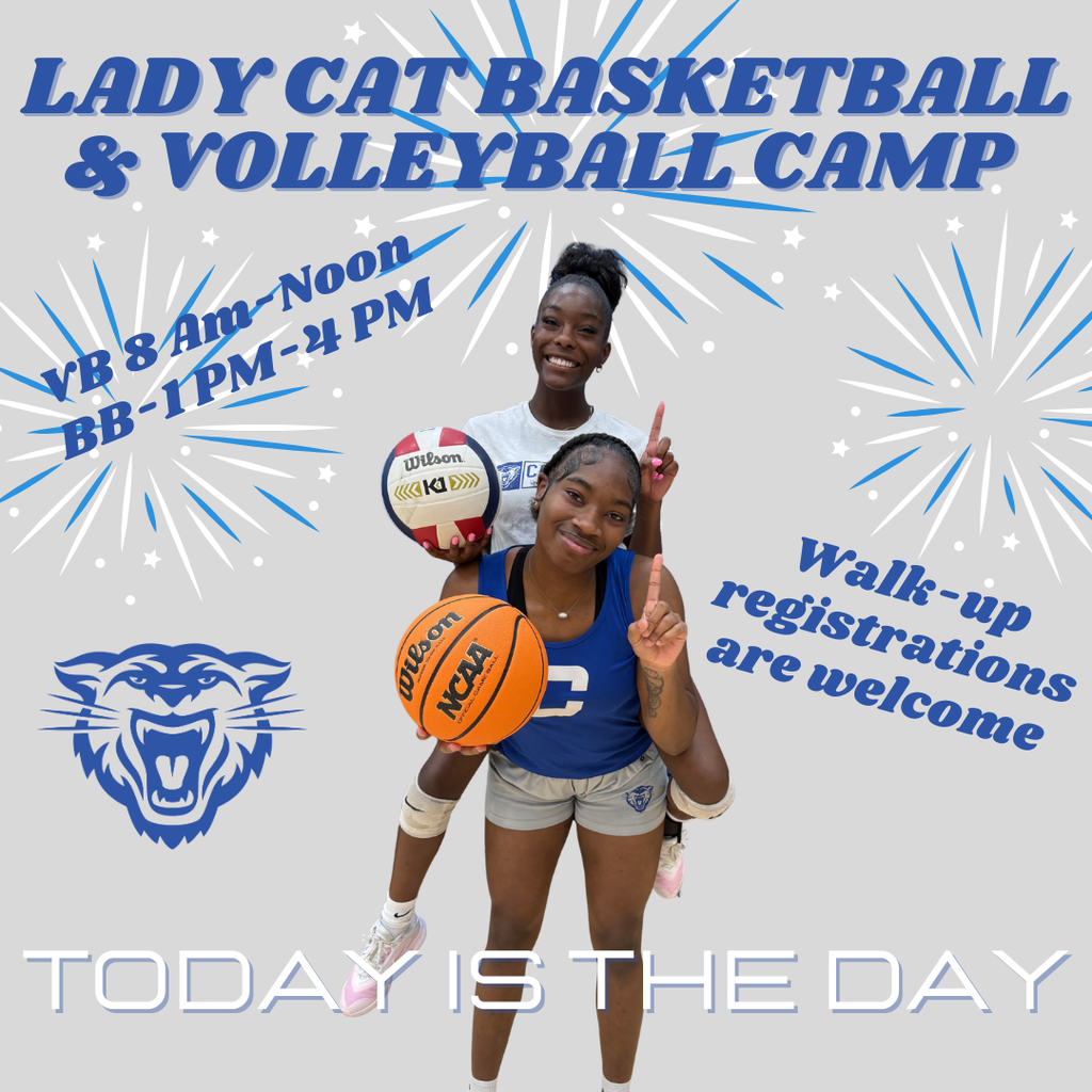 1 Day Camps