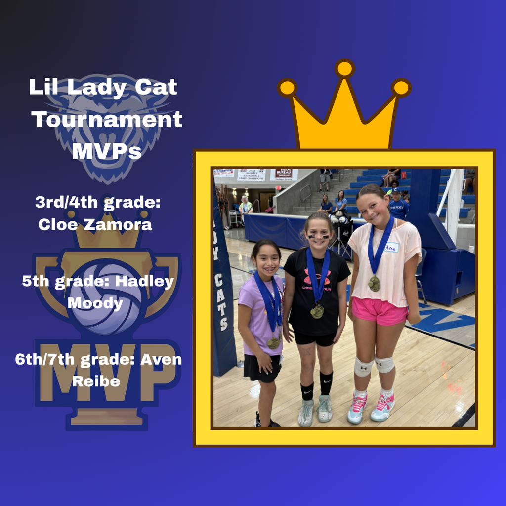 LLC MVP