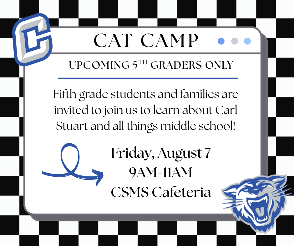 cat camp