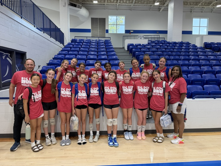 Ruth Doyle volleyball getting better today at Greenbrier camp. 