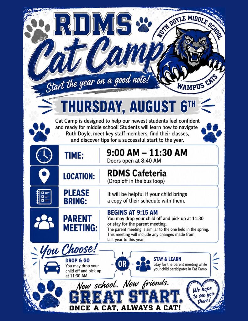 Cat Camp flyer