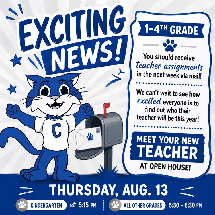 📬✨ Special Delivery is on the way, Little Cats! 🐾💙