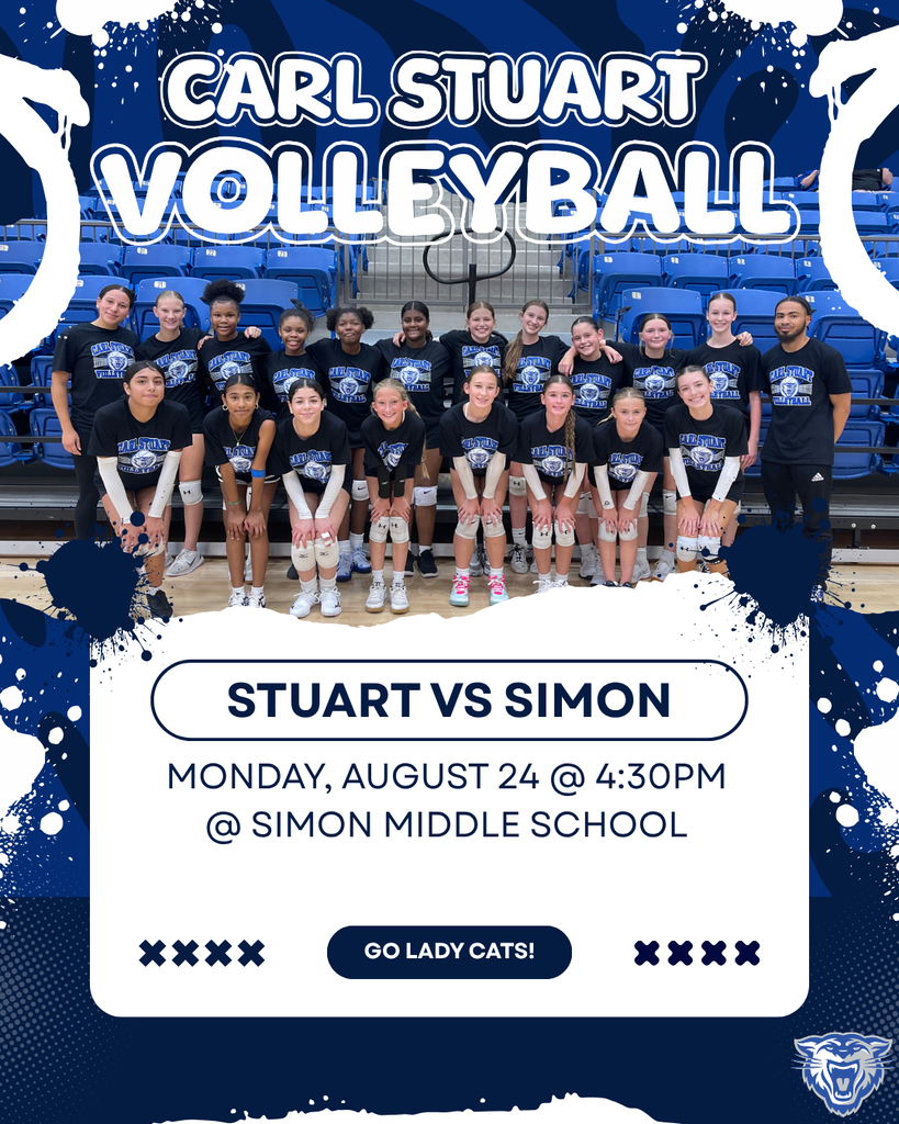 volleyball game