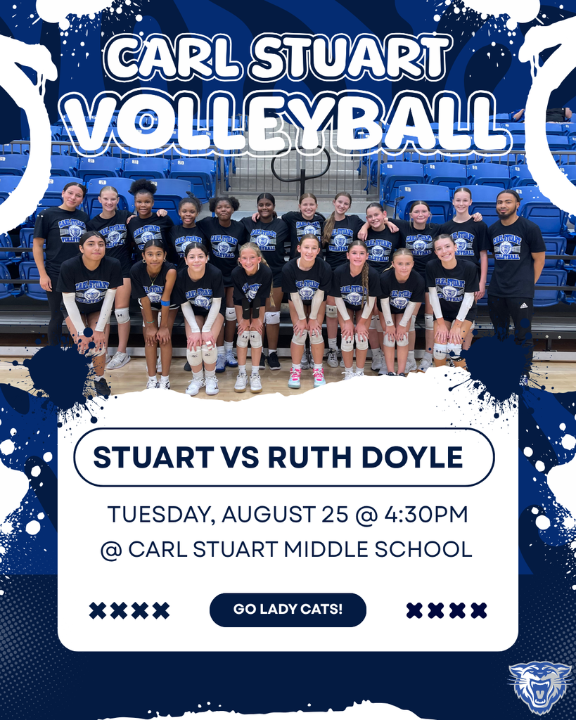 volleyball game