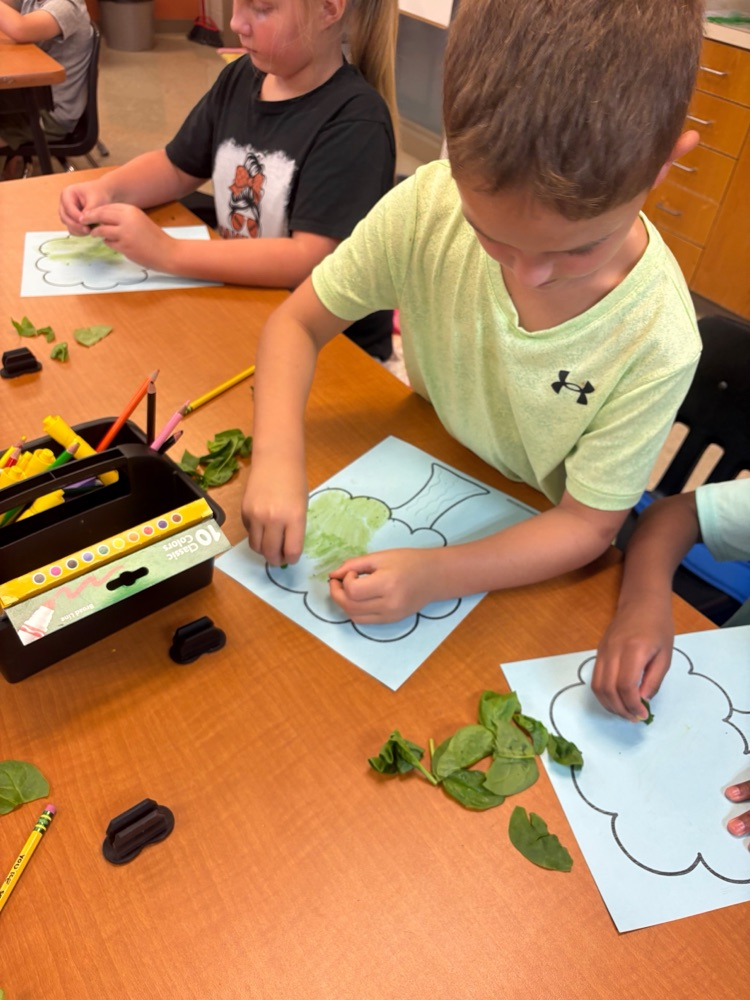 Mrs. Russell’s second graders are learning about seasonal changes and photosynthesis. They made chlorophyll paintings with spinach leaves!