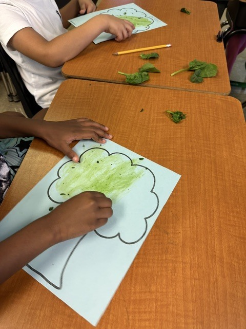 Our 2nd graders kicked off our new Arts & Letters Unit, "A Season of Change," with a hands-on art experience inspired by the changing seasons! Students created beautiful paintings using real leaves, using the chlorophyll from the leaves to paint and explore the natural colors and changes happening around us.