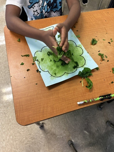 Our 2nd graders kicked off our new Arts & Letters Unit, "A Season of Change," with a hands-on art experience inspired by the changing seasons! Students created beautiful paintings using real leaves, using the chlorophyll from the leaves to paint and explore the natural colors and changes happening around us.