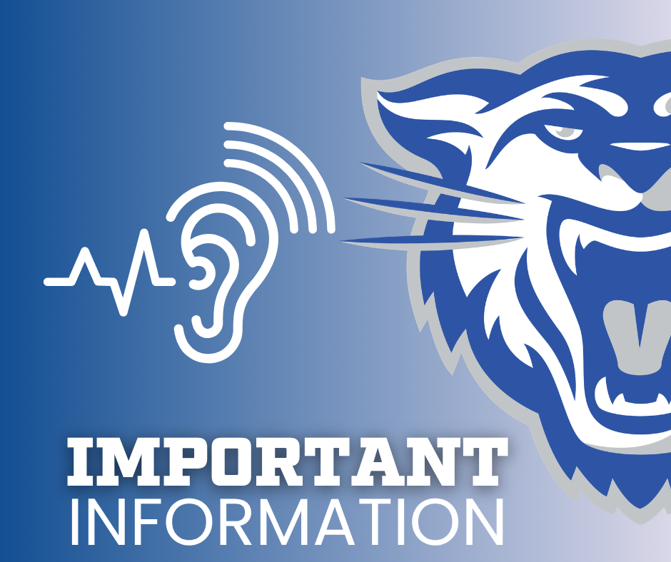 hearing and vision