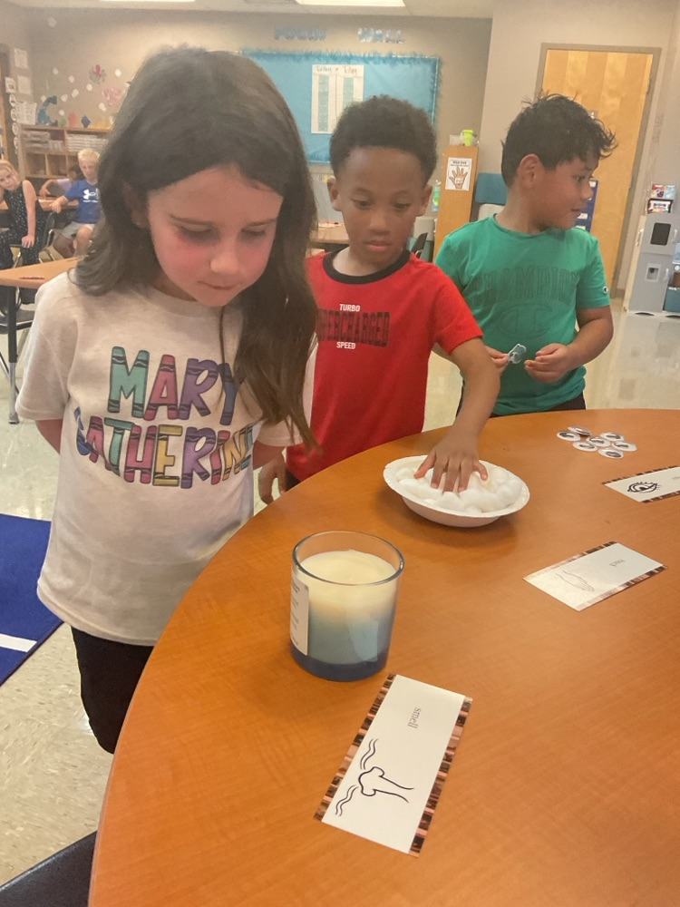 Mrs. Wilcox’s kindergarten class kicked off module 1 of Arts and Letters with a fun 5 senses station!