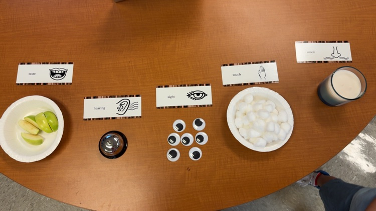 Mrs. Wilcox’s kindergarten class kicked off module 1 of Arts and Letters with a fun 5 senses station!