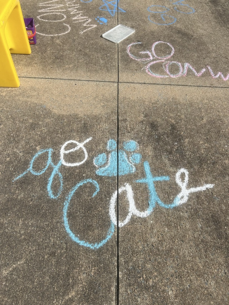 sidewalk chalk art says Go Cats