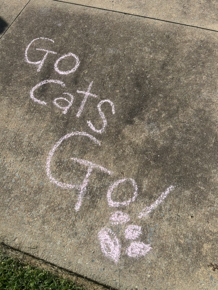 sidewalk chalk art says Go Cats Go