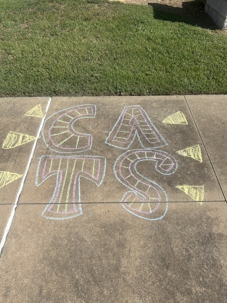Sidewalk chalk art says Go Cats