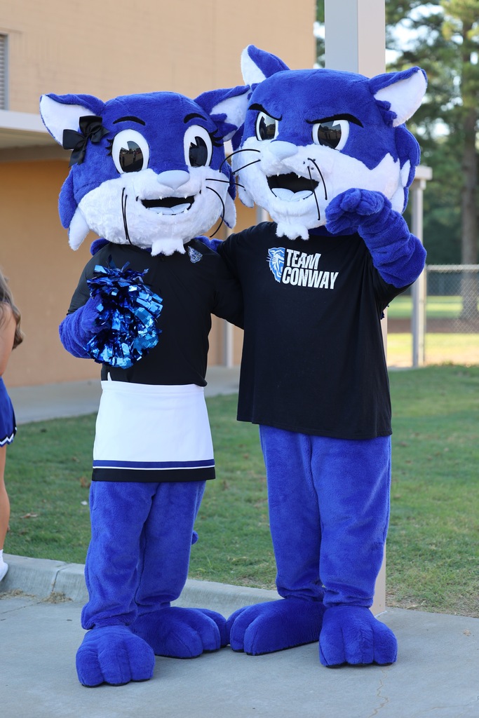 Wampus Cat Mascots