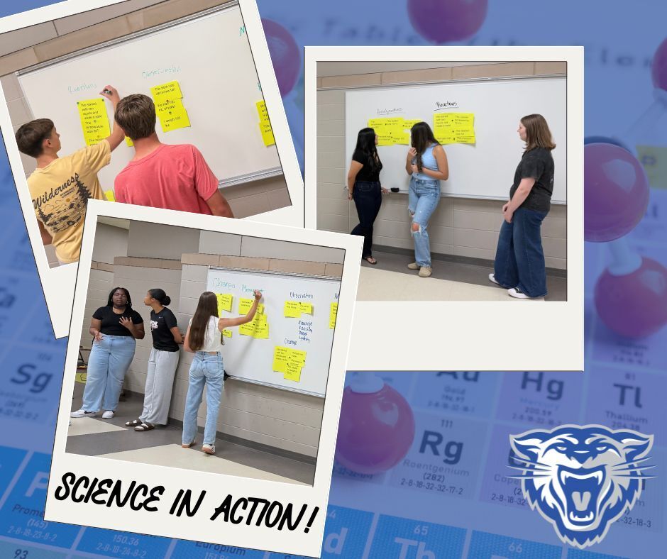 Students working at white boards