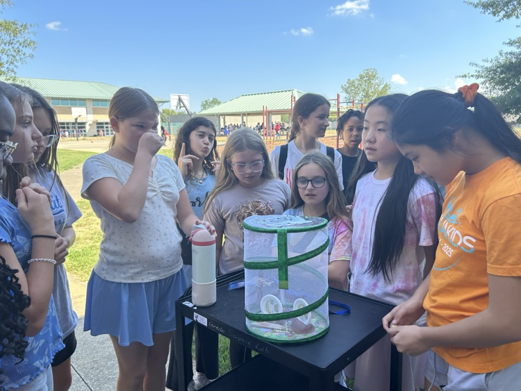 GT students releasing butterflies