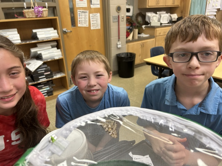 GT students releasing butterflies