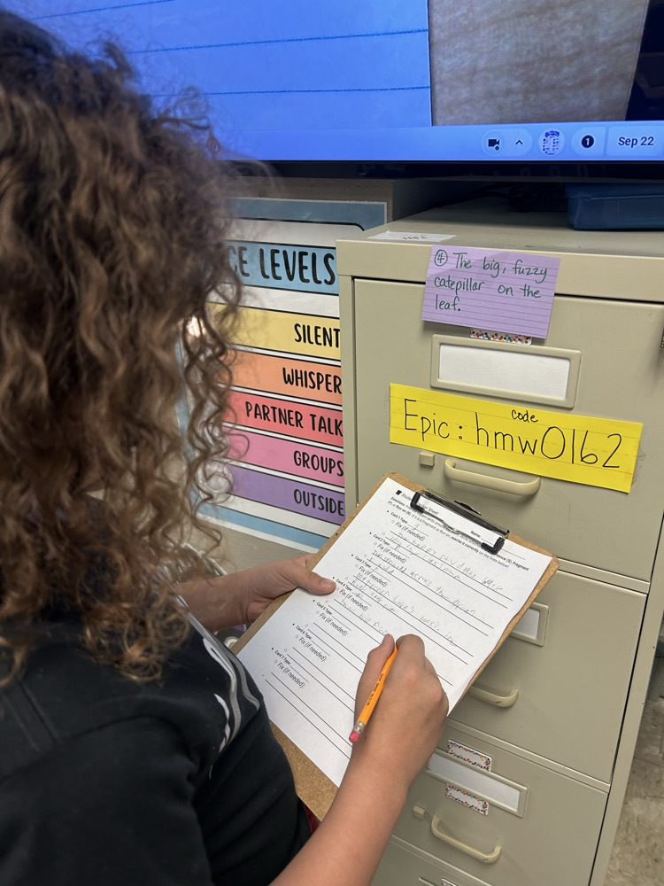 Grammar Gallery Walk