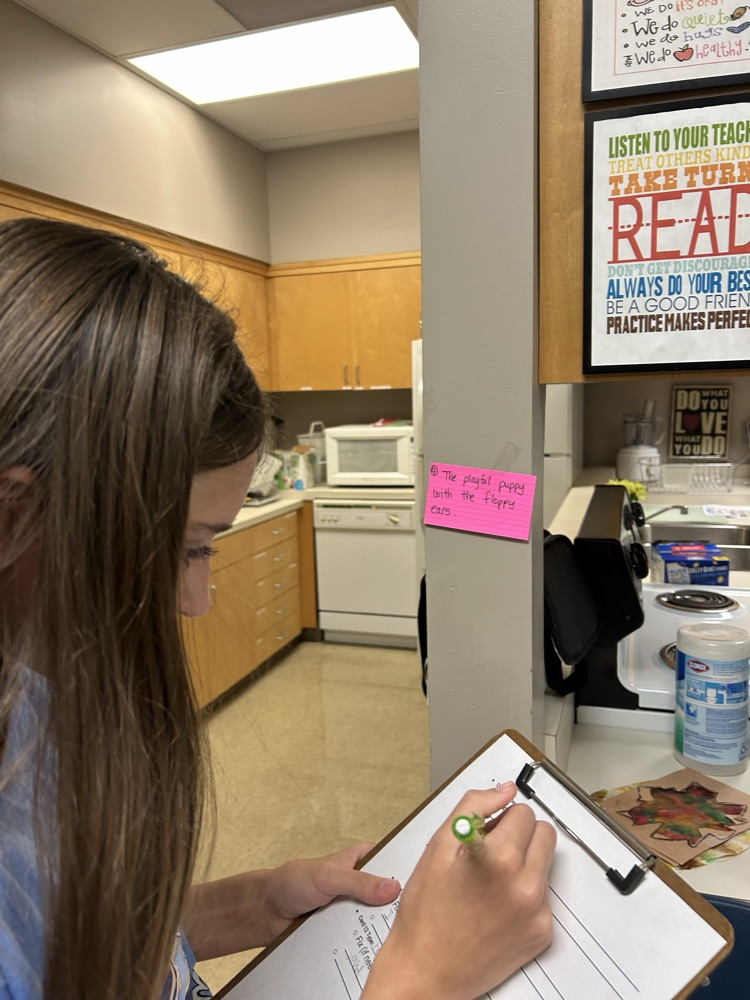 Grammar Gallery Walk