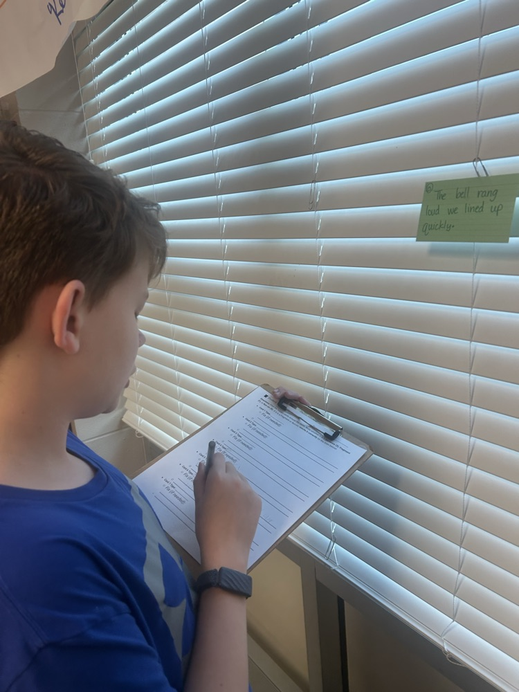 Grammar Gallery Walk