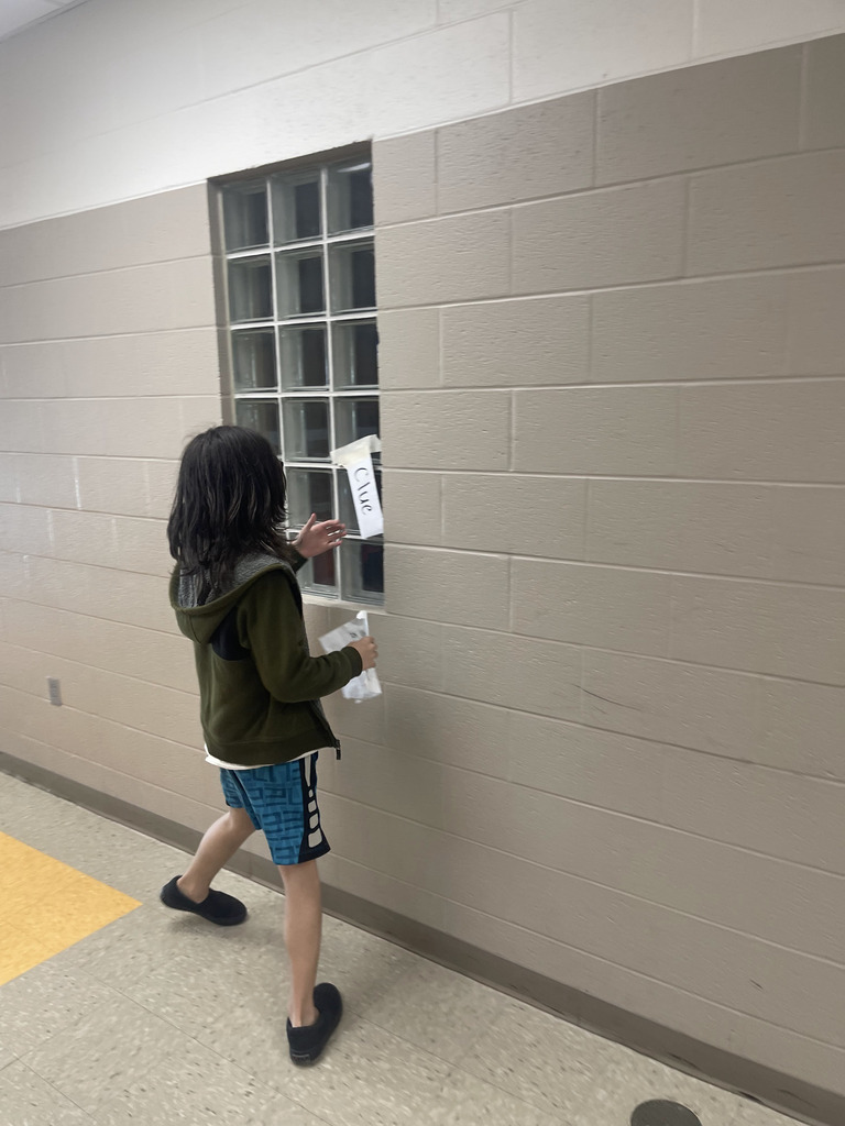 Ms Jackson's class using reading skills and problem solving skills to meet their new class pet.