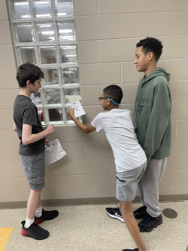 Ms Jackson's class using reading skills and problem solving skills to meet their new class pet.