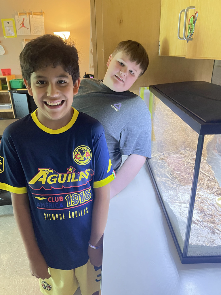 Ms Jackson's class using reading skills and problem solving skills to meet their new class pet.