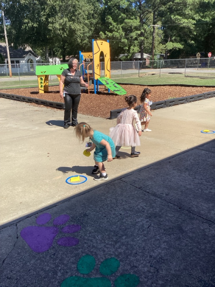 Builds executive function, self-regulation, problem-solving, flexibility, turn-taking, and social skills as children plan, adapt, and manage emotions while collecting beanbags.