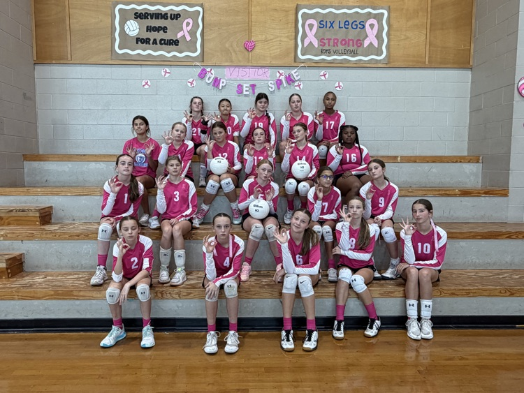 Ruth Doyle volleyball team loved Pink Night and the fact that they could honor Emmersyn Caldwell, an RDMS Alumni.
