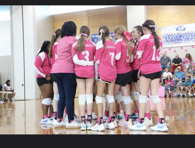 Ruth Doyle volleyball team loved Pink Night and the fact that they could honor Emmersyn Caldwell, an RDMS Alumni.