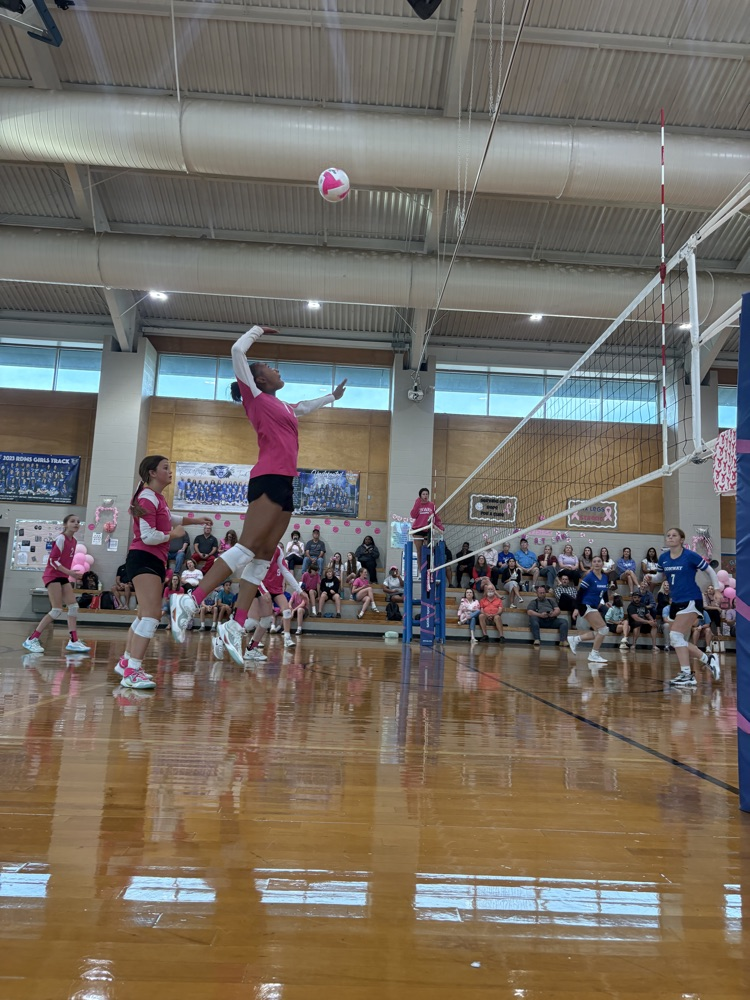 Ruth Doyle volleyball team loved Pink Night and the fact that they could honor Emmersyn Caldwell, an RDMS Alumni.