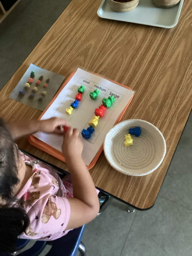 child sorting frog counters by size 