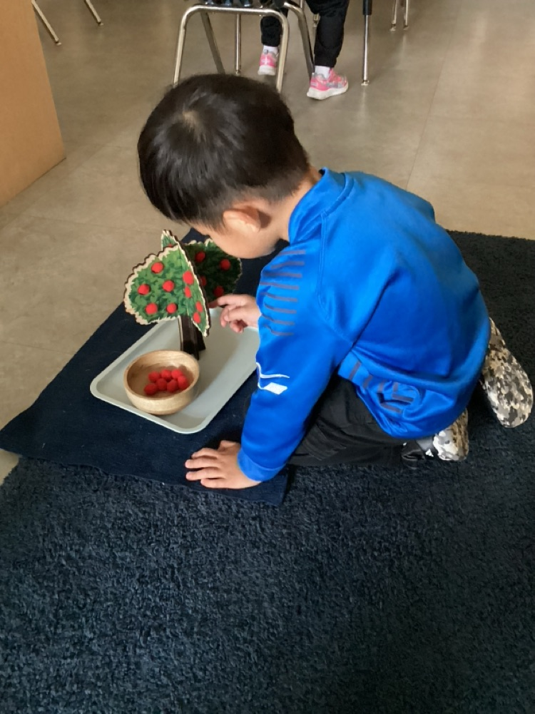 child balancing red Pom poms in a wooden tree developing his fine motor skills 