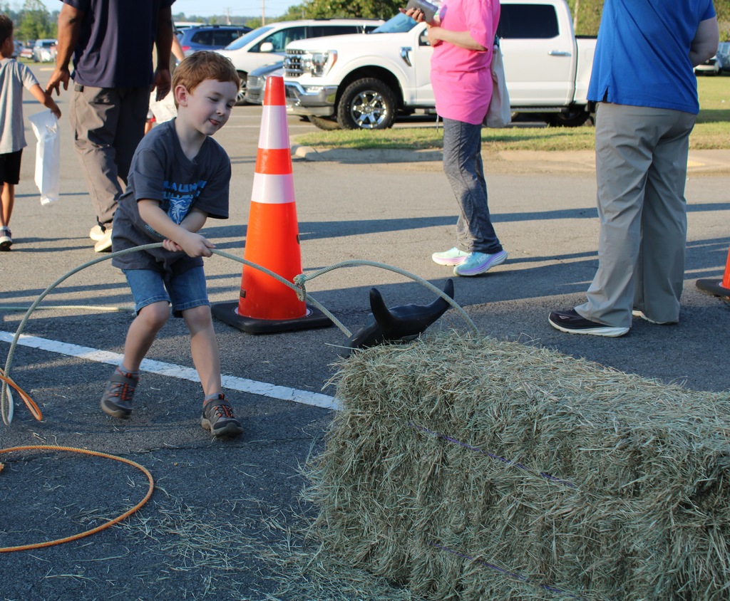 Fall Festival 2025