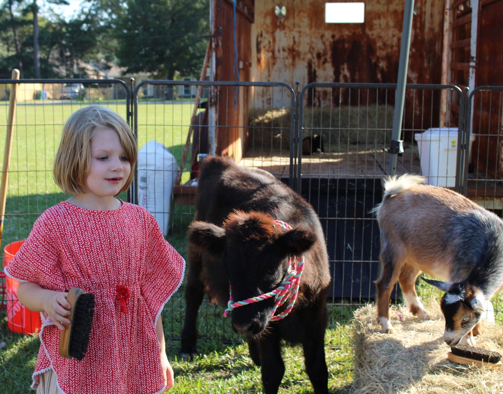 Fall Festival 2025