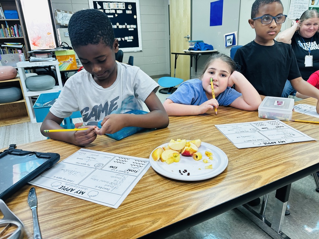 learning about apples
