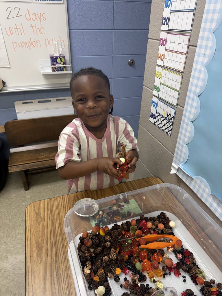 Fall activities in kindergarten