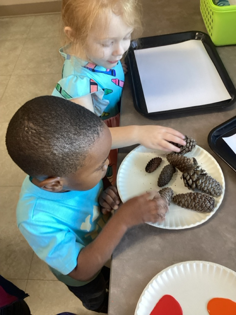 children observing and describing pine cones