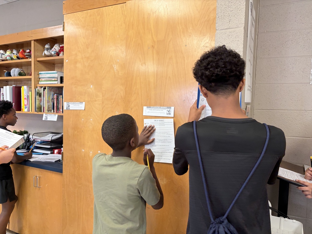 4 types of sentences scavenger hunt - students moving around the room to determine types of sentences
