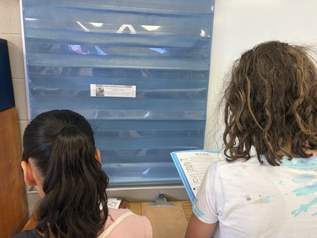 4 types of sentences scavenger hunt - students moving around the room to determine types of sentences