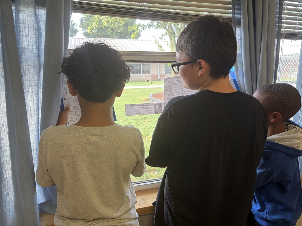 4 types of sentences scavenger hunt - students moving around the room to determine types of sentences