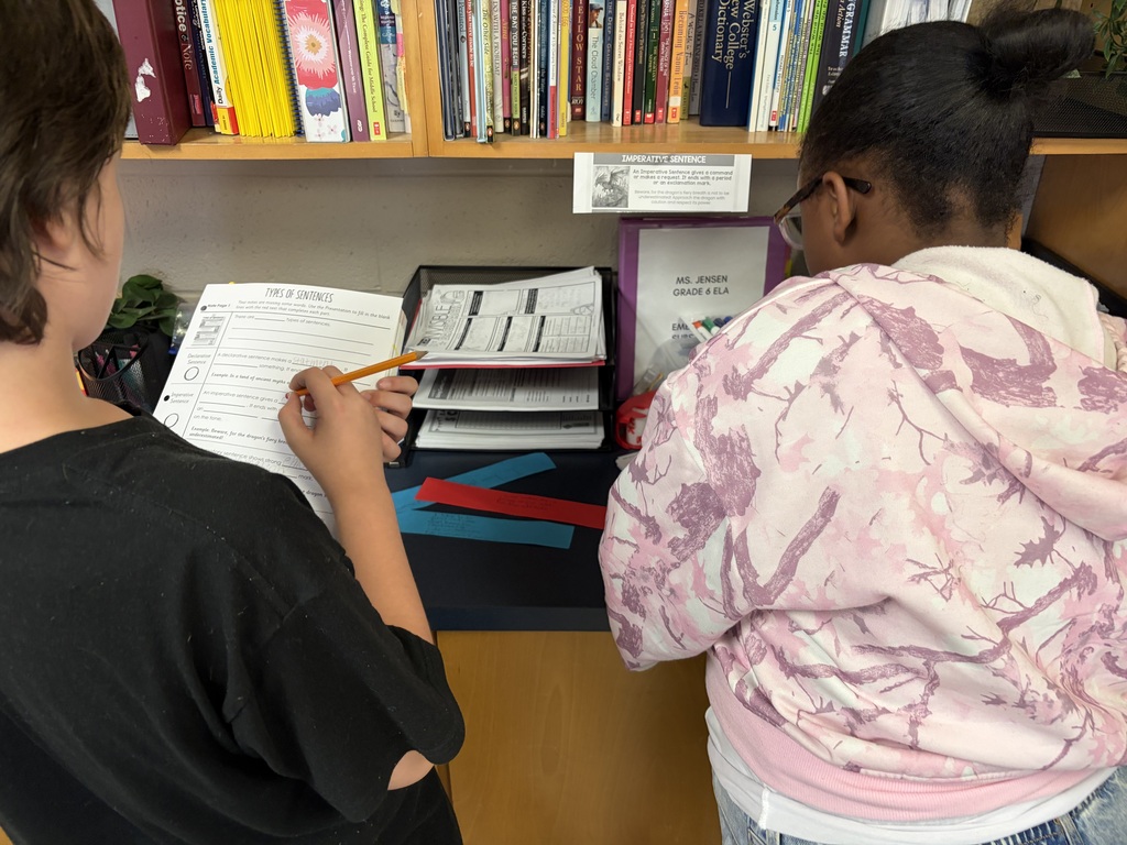 4 types of sentences scavenger hunt - students moving around the room to determine types of sentences