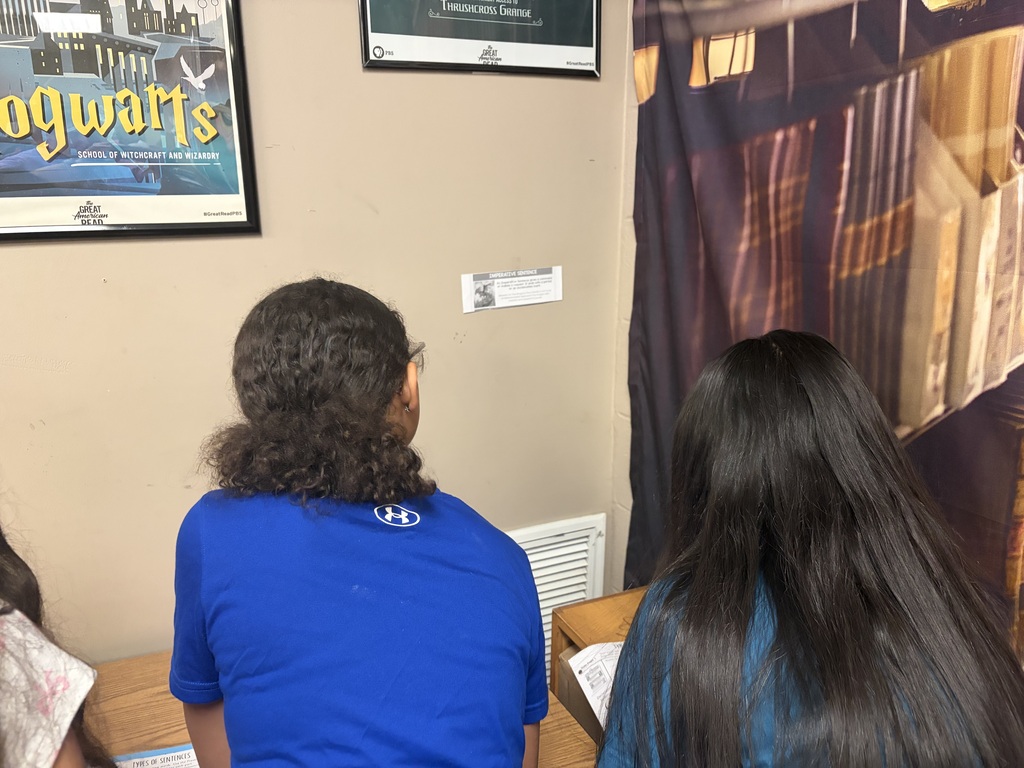 4 types of sentences scavenger hunt - students moving around the room to determine types of sentences