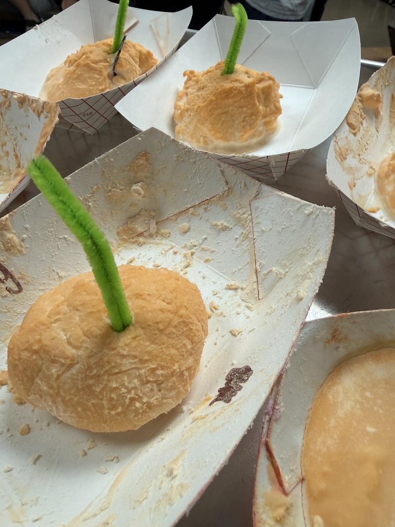 Student creations