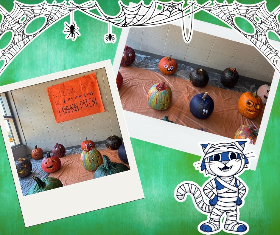 pumpkin patch